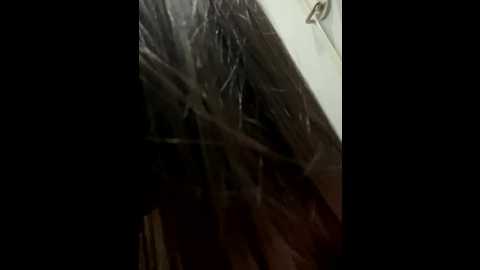 xiao_lin