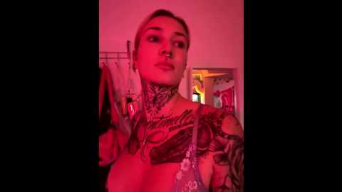 stella_kink