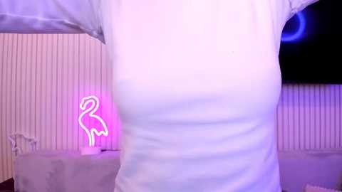 bellacams