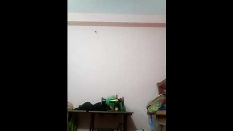 megla879 @ stripchat on 20251014