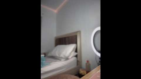 Media: shara_dreams Stripchat 2025-10-14 03:08:00