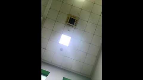 Media: eveangelll Stripchat 2025-10-15 05:05:00