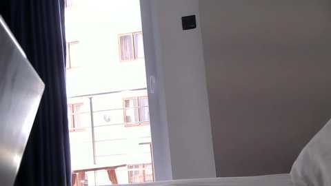 katt008