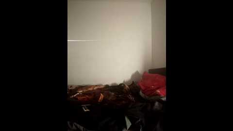 comizrobiszjakmniezlap666 @ stripchat on 20251016