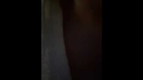 jiajia_l