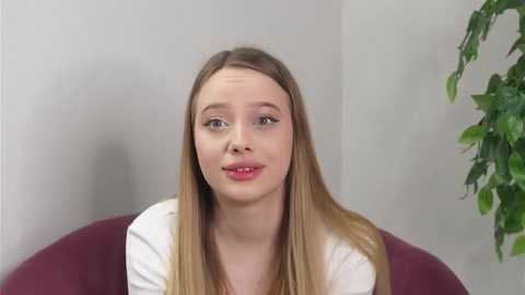 mitzitelfer