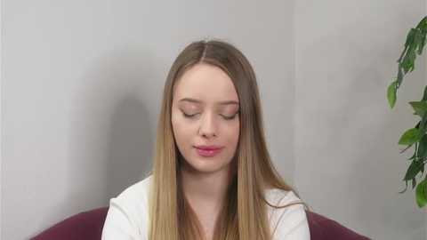 mitzitelfer