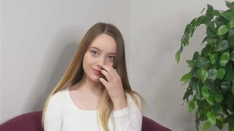 mitzitelfer