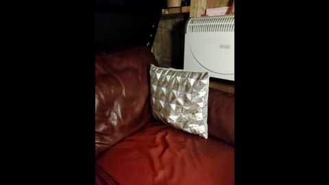 bouncy_bella28x