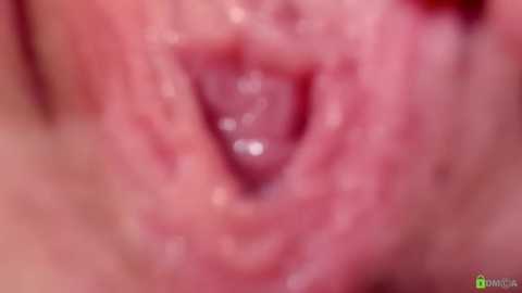 courtney_luv
