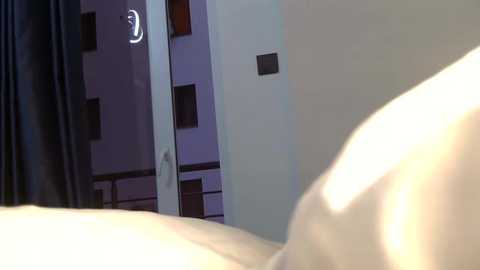 katt008