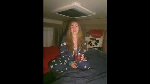 vanlifevixen