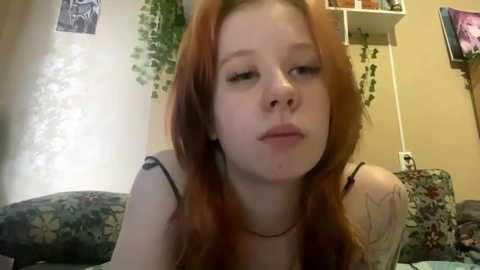 anitavanruiten