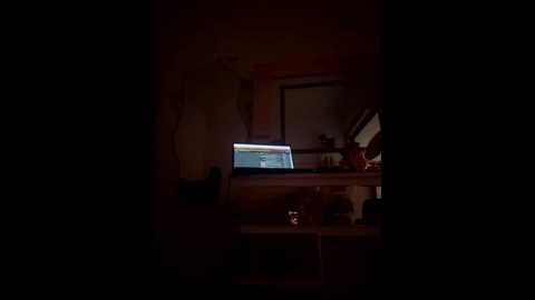 jailyncam_