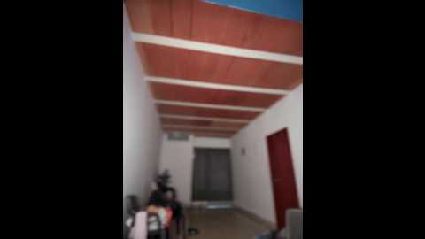 lalilamassu1