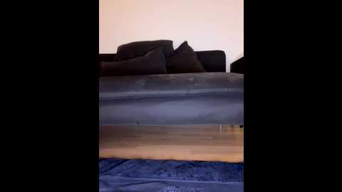 Media: newgirl666 Stripchat 2025-10-22 20:44:00