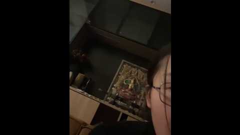 zhenzhen666