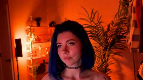 _vixenp