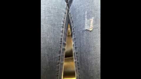 didihairypussy