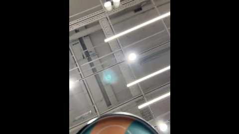 _angelari_