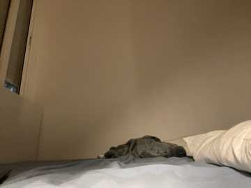lisa_5329