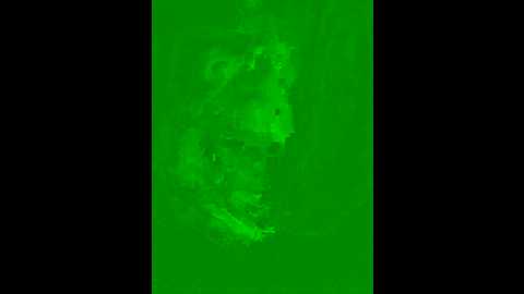 devil__01