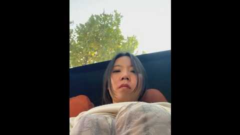 xinmengaz