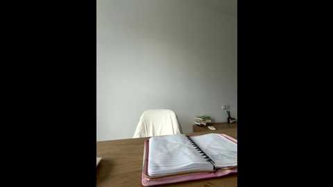 Media: streetdoll Stripchat 2025-10-29 09:07:00