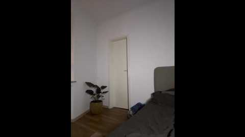 stelli_99 @ stripchat on 20251031