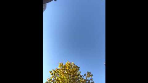 Media: sinfullovers33 Stripchat 2025-11-01 13:07:00