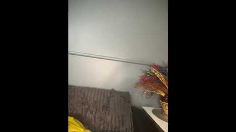 Media: houseforsex Stripchat 2025-11-06 07:11:00