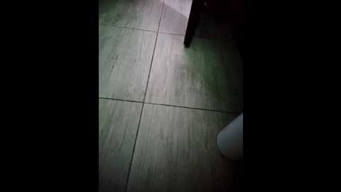 Media: arab_wild_mature Stripchat 2025-11-11 05:43:00