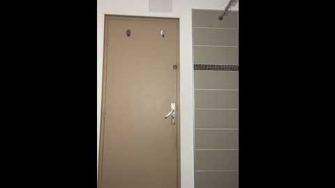 Media: dasilva_elsa21 Stripchat 2025-11-13 13:02:00