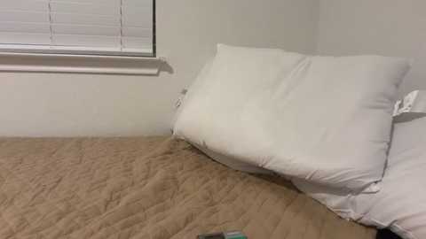 Media: kykybaby4444 Stripchat 2025-11-13 04:22:00