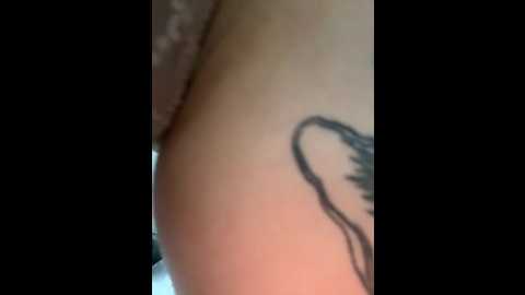 Media: arya_black Stripchat 2025-11-14 08:47:00