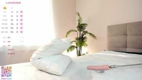 Media: sweetlilylove Stripchat 2025-11-14 08:02:00