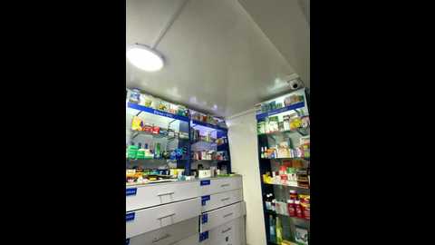 roouse @ stripchat on 20251117