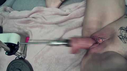 sexymilf_37 @ stripchat on 20251118