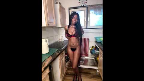 solaeuftderbraunehase